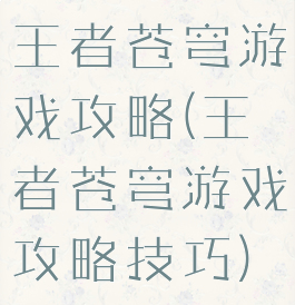 王者苍穹游戏攻略(王者苍穹游戏攻略技巧)