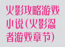 火影攻略游戏小说(火影忍者游戏章节)