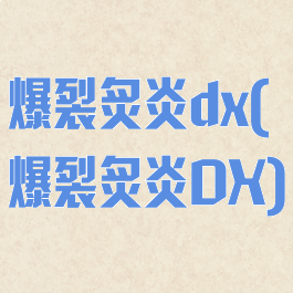 爆裂炙炎dx(爆裂炙炎DX)