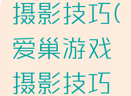 爱巢游戏摄影技巧(爱巢游戏摄影技巧攻略)