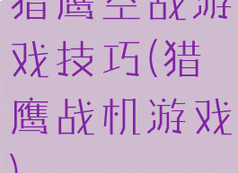 猎鹰空战游戏技巧(猎鹰战机游戏)