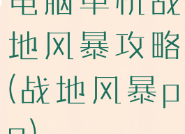 电脑单机战地风暴攻略(战地风暴pc)