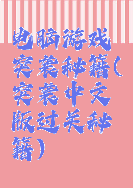 电脑游戏突袭秘籍(突袭中文版过关秘籍)