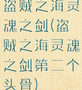 盗贼之海灵魂之剑(盗贼之海灵魂之剑第二个头骨)