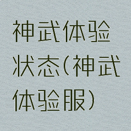 神武体验状态(神武体验服)