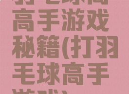 羽毛球高高手游戏秘籍(打羽毛球高手游戏)