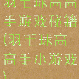 羽毛球高高手游戏秘籍(羽毛球高高手小游戏)