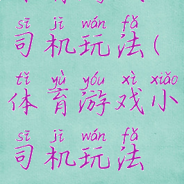 体育游戏小司机玩法(体育游戏小司机玩法视频)