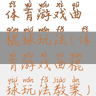体育游戏曲棍球玩法(体育游戏曲棍球玩法教案)