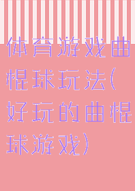 体育游戏曲棍球玩法(好玩的曲棍球游戏)