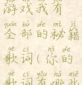 你喜欢的游戏我有全部的秘籍歌词(你的歌词有哪些游戏)