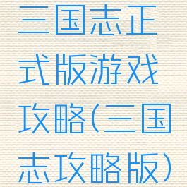三国志正式版游戏攻略(三国志攻略版)
