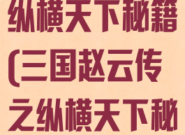 三国赵云传之纵横天下秘籍(三国赵云传之纵横天下秘籍金钱)