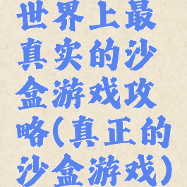 世界上最真实的沙盒游戏攻略(真正的沙盒游戏)