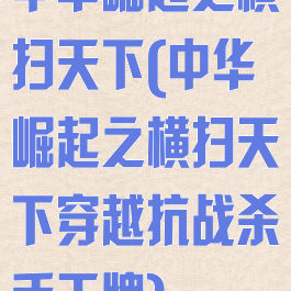 中华崛起之横扫天下(中华崛起之横扫天下穿越抗战杀手王牌)