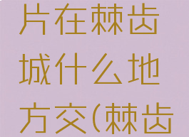 发光的碎片在棘齿城什么地方交(棘齿城怎么去)