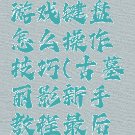 古墓丽影游戏键盘怎么操作技巧(古墓丽影新手教程最后按哪个键)