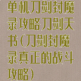 单机刀剑封魔录攻略刀剑天书(刀剑封魔录真正的战斗攻略)