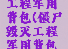 僵尸毁灭工程军用背包(僵尸毁灭工程军用背包属性)