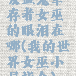 吸血鬼幸存者女巫的眼泪在哪(我的世界女巫小屋指令)