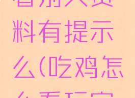 吃鸡游戏看别人资料有提示么(吃鸡怎么看玩家资料)