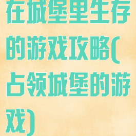 在城堡里生存的游戏攻略(占领城堡的游戏)