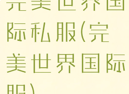 完美世界国际私服(完美世界国际服)