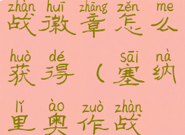 塞纳里奥作战徽章怎么获得(塞纳里奥作战徽章任务)