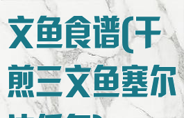 塞尔达干煎三文鱼食谱(干煎三文鱼塞尔达任务)