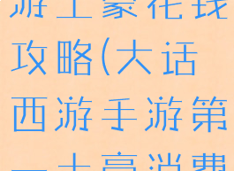 大话西游手游土豪花钱攻略(大话西游手游第一土豪消费多少)