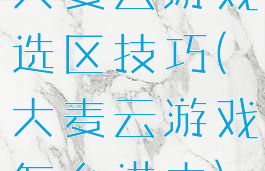 大麦云游戏选区技巧(大麦云游戏怎么进去)