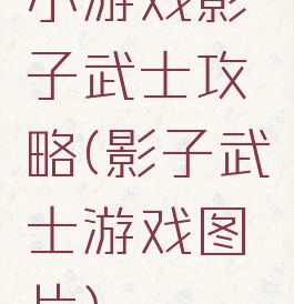 小游戏影子武士攻略(影子武士游戏图片)