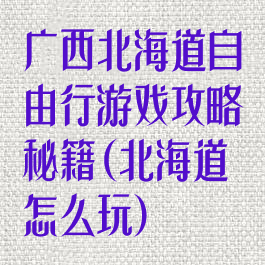 广西北海道自由行游戏攻略秘籍(北海道怎么玩)