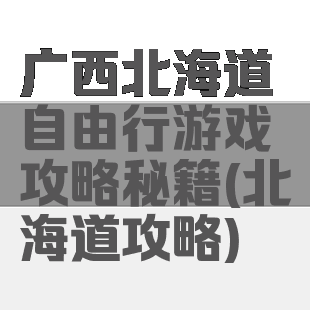 广西北海道自由行游戏攻略秘籍(北海道攻略)