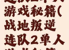 战地叛逆连队2单人游戏秘籍(战地叛逆连队2单人游戏秘籍是什么)
