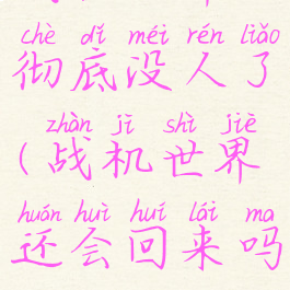 战机世界彻底没人了(战机世界还会回来吗)