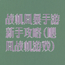 战机风暴手游新手攻略(飓风战机游戏)