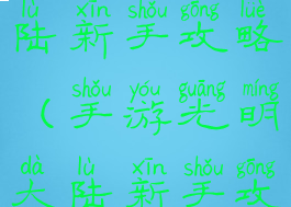 手游光明大陆新手攻略(手游光明大陆新手攻略大全)