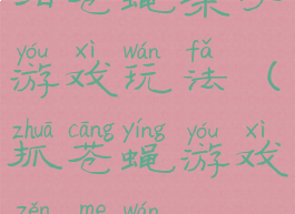 拍苍蝇亲子游戏玩法(抓苍蝇游戏怎么玩)