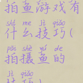 拍鱼游戏有什么技巧(拍摄鱼的技巧)
