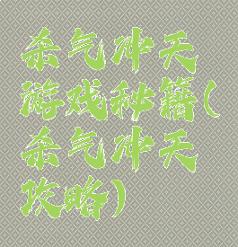 杀气冲天游戏秘籍(杀气冲天攻略)