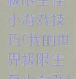 极限生存小游戏技巧(我的世界极限生存小游戏)