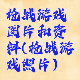 枪战游戏图片和资料(枪战游戏照片)