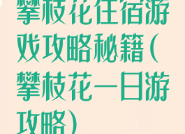 攀枝花住宿游戏攻略秘籍(攀枝花一日游攻略)
