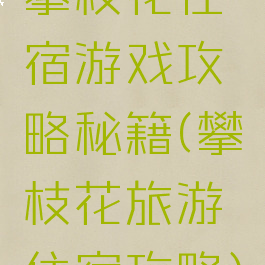 攀枝花住宿游戏攻略秘籍(攀枝花旅游住宿攻略)