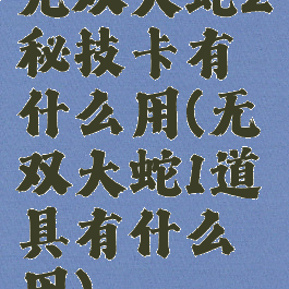 无双大蛇2秘技卡有什么用(无双大蛇1道具有什么用)