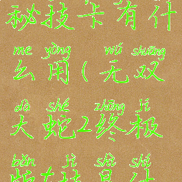 无双大蛇2秘技卡有什么用(无双大蛇2终极版t技是什么)