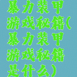 暴力装甲游戏秘籍(暴力装甲游戏秘籍是什么)