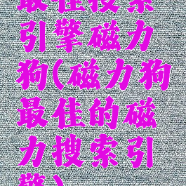 最佳搜索引擎磁力狗(磁力狗最佳的磁力搜索引擎)
