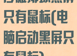 沙滩排球黑屏只有鼠标(电脑启动黑屏只有鼠标)